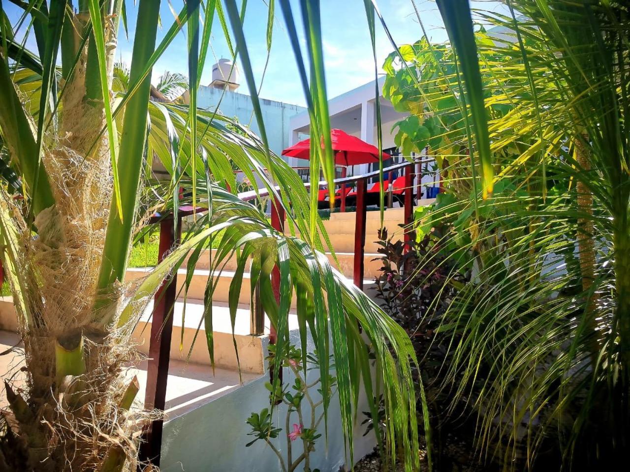 Mayan Majesty Boutique Hotel Valladolid  Exteriör bild